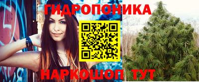 дурь Будённовск