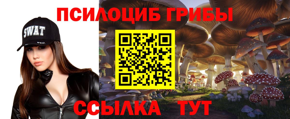 Галлюциногенные грибы GOLDEN TEACHER Чита